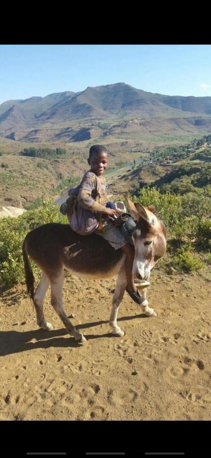 Twin Peaks Cottages And Horse Trekking Maseru Ngoại thất bức ảnh