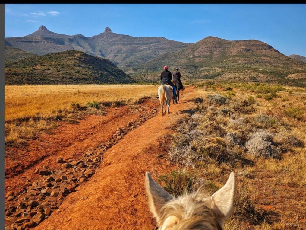Twin Peaks Cottages And Horse Trekking Maseru Ngoại thất bức ảnh